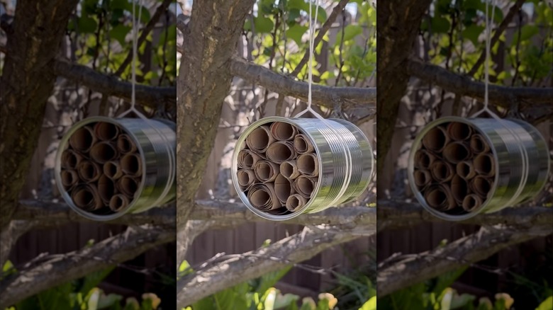 Closeup of a finished, DIY bee hotel made out of empty toilet paper rolls.