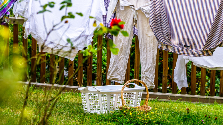 Laundry basket outdoors
