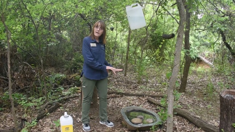 Woman sharing DIY project for keeping mosquitoes away from birdbath using dripping litter container