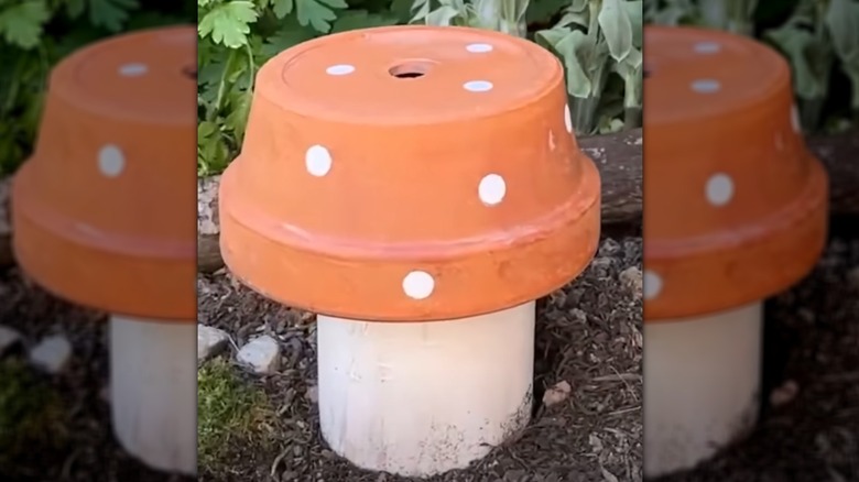 A cute garden mushroom with a white base and a terracotta top