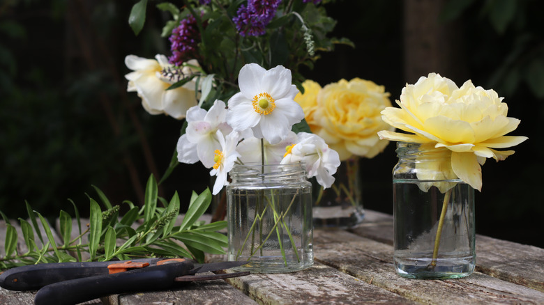 White and yellow cut flowers inside a glass jar