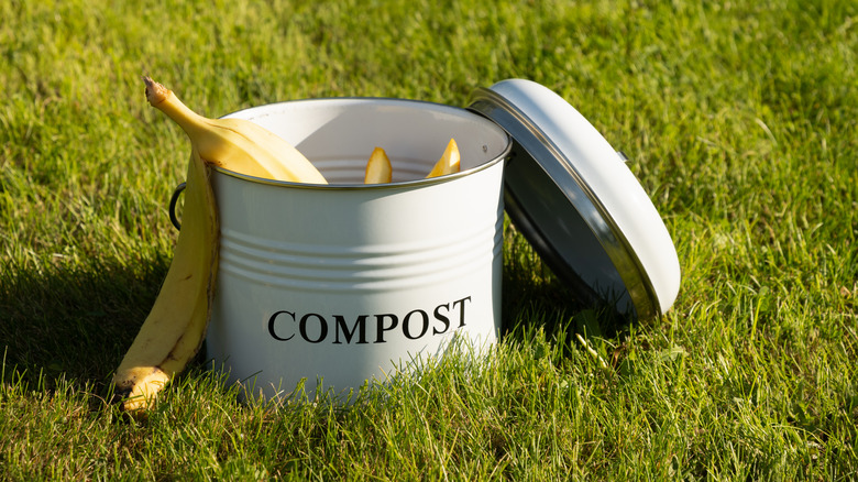 A banana peel sitting in a white metal compost bucket on a green lawn