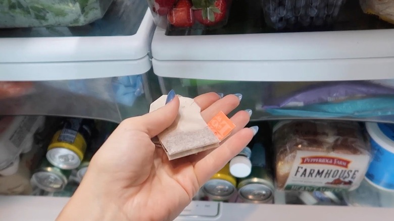 Woman holding tea bags to deodorize fridge