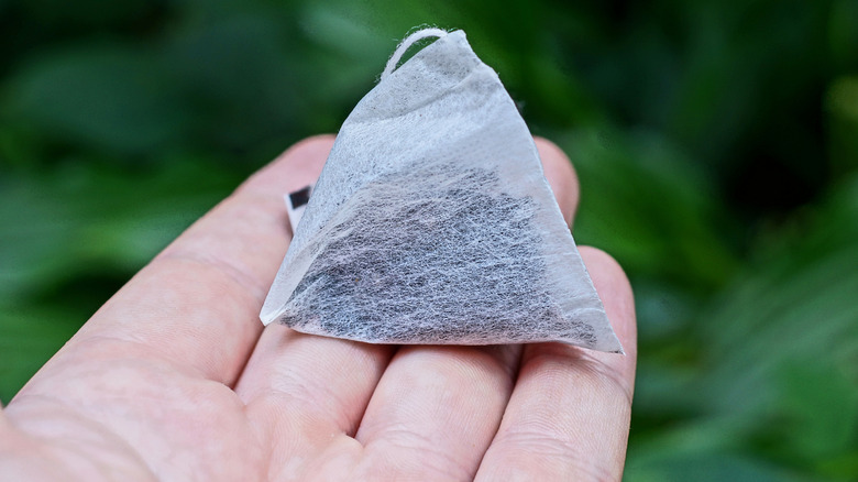 Person holding tea bag with green garden background