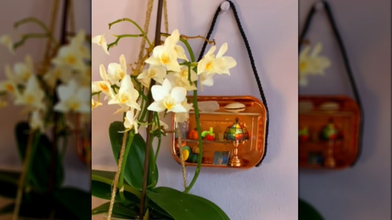 Sardine tin with a small scene glued inside hanging on the wall.