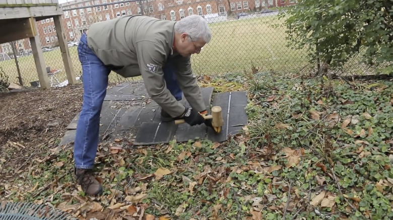 Person using landscaping staples on shingles placed for weed barrier.