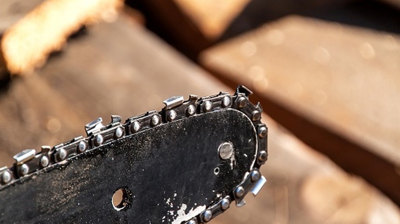 a chainsaw bar with sap buildup