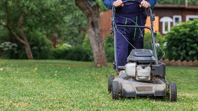 Person cutting the lawn with a rotary lawn mower