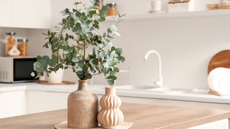 Eucalyptus plant in a contemporary vase on a kitchen island