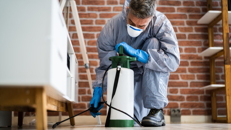 A professional treating a home for pests