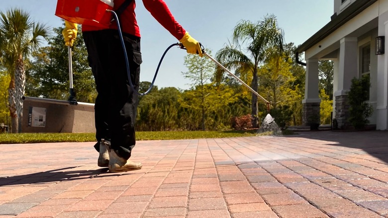 Man spraying sealer on terracotta patio pavers