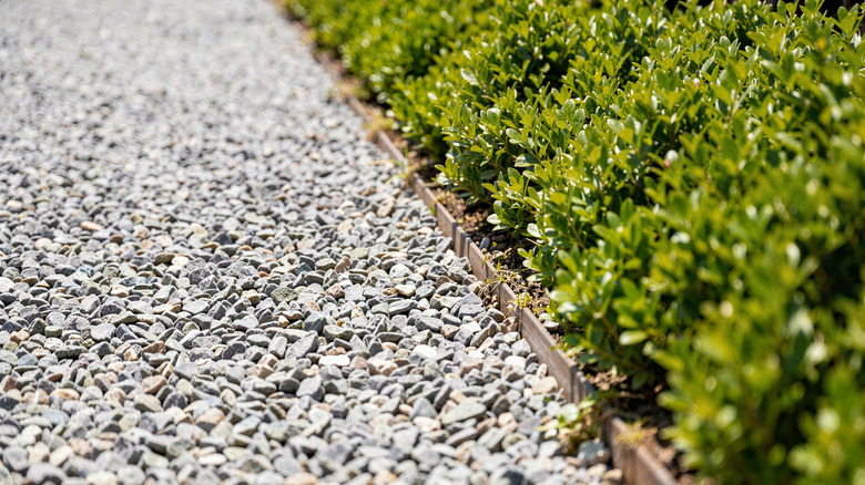 Gravel pathway separated from greenery with a hammered-in border edge