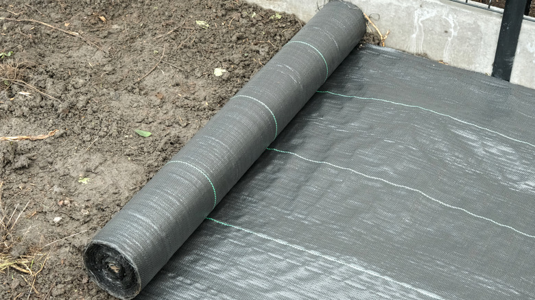 Roll of landscape fabric
