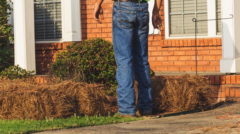 A person standing next to bales of pine straw in a yard