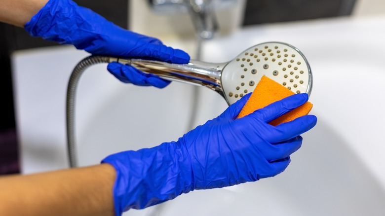 Person with blue gloves cleaning limescale off of shower head with sponge