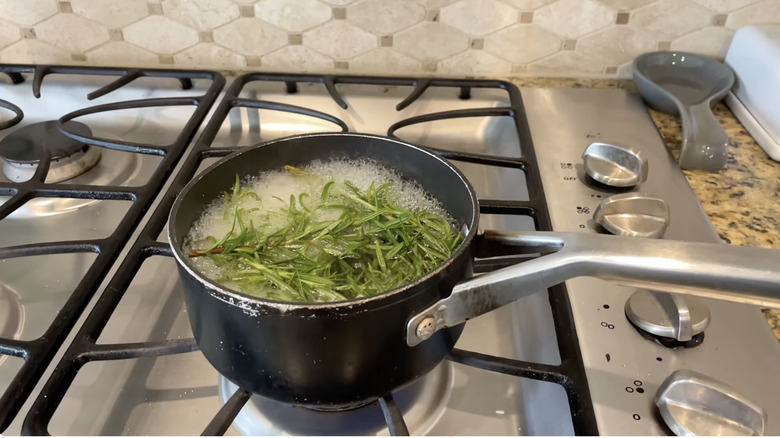 Rosemary boling in a pot
