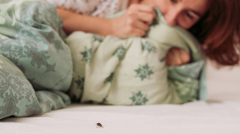 woman afraid of small stink bug