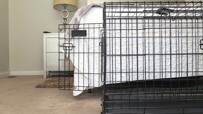 An empty wire dog crate in front of a bed in a bedroom