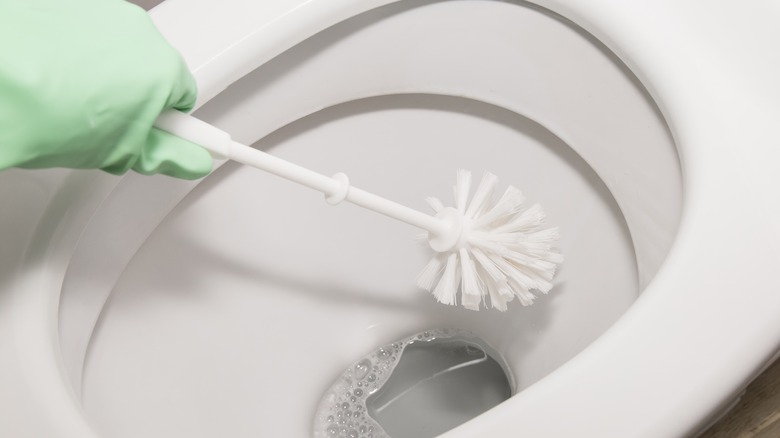 A hand in a green glove using a toilet brush in a toilet