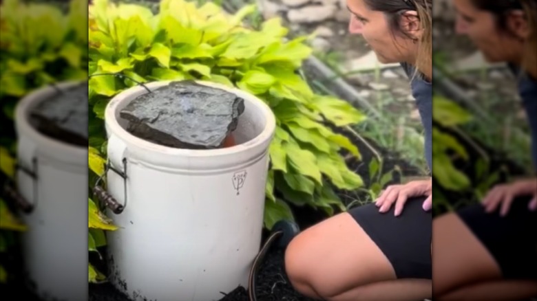 Creator showing off a pickling crock turned into a bird bubbler bath