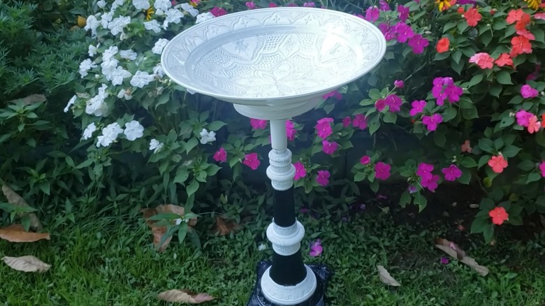 An empty DIY black-and-white painted birdbath made out of a glass bowl and lamp base