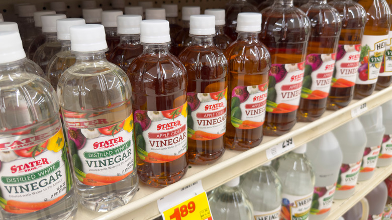 White and apple cider vinegar next to each other on shelf