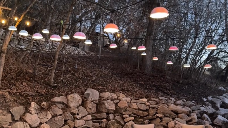 String lights covered with plastic scalloped bowls hanging in a backyard