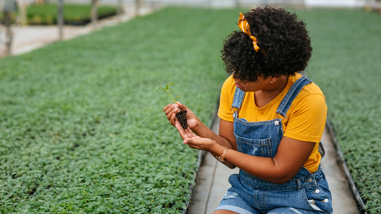 A woman gets ready to plant a flower