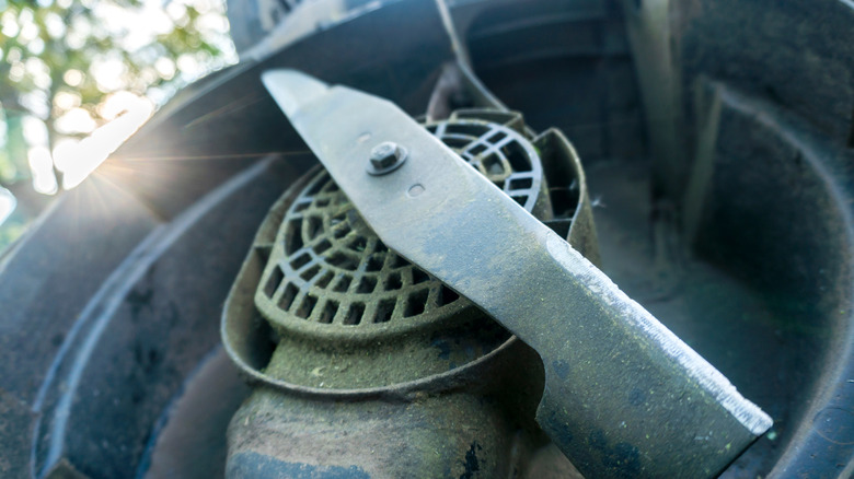 A very dull lawnmower blade