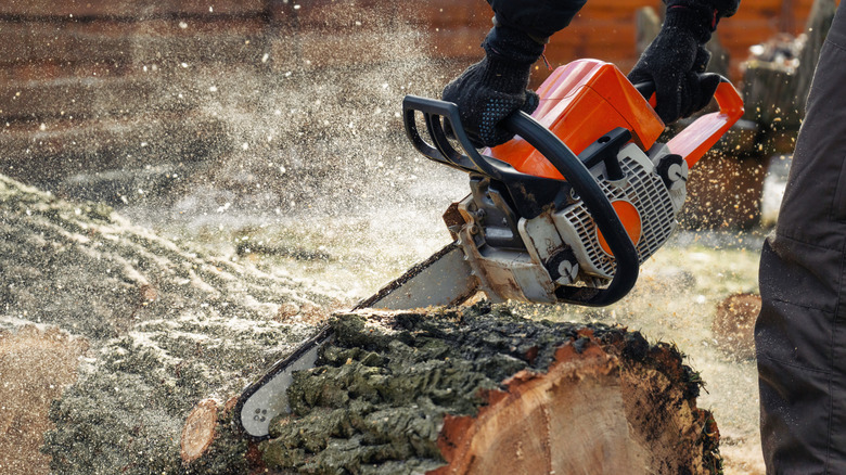 Cutting through a log with a gas powered chainsaw