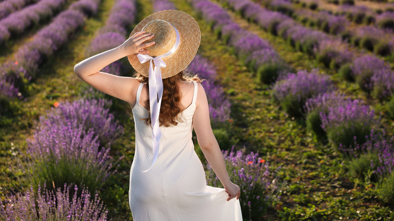 She Grabs A Pack Of Dollar Tree Doilies To Create The Sweetest Spring Decor!