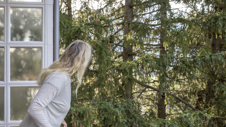 A woman examines the trees outside her house