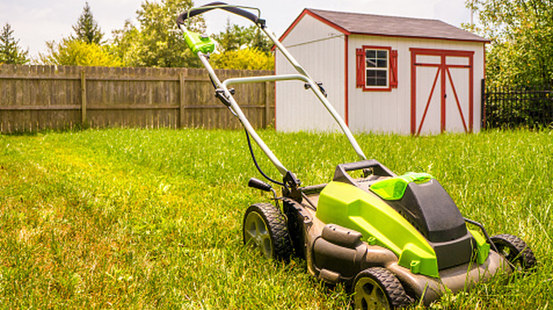 A green push lawn mower in front of a storage shed