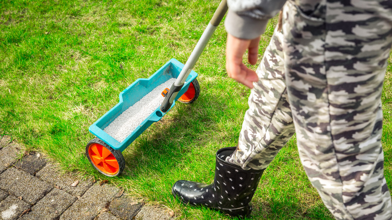 Person pushing a fertilizer spreader over yard