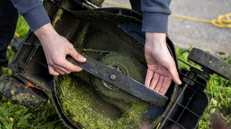 A person examining the lawn mower blades to see if they need to be replaced.