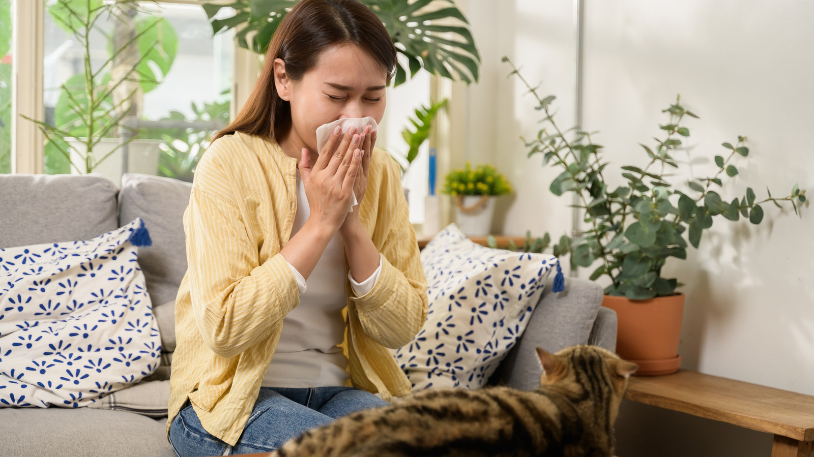 Simple Ways To Allergy-Proof Your Home