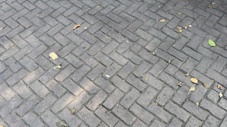 Rectangular clay patio pavers
