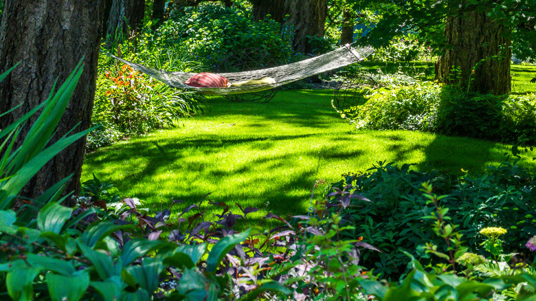 Hammock in shady garden