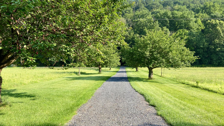 Crushed concrete driveway