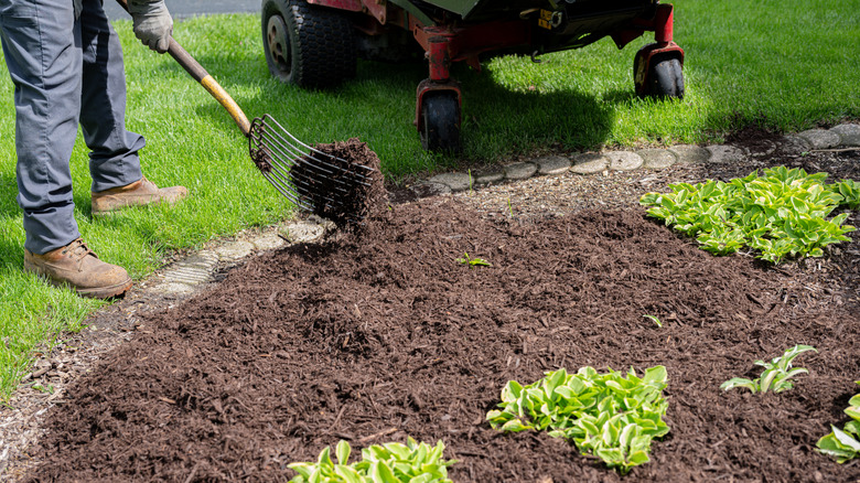 Man using a pitch fork to spread mulch