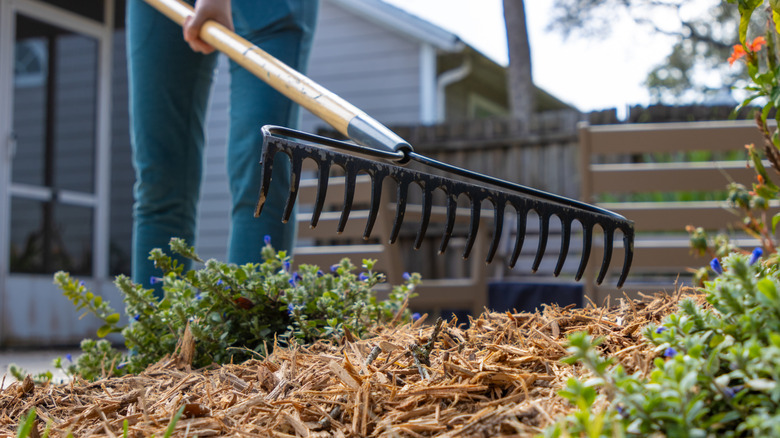 Person raking mulch in a garden bed