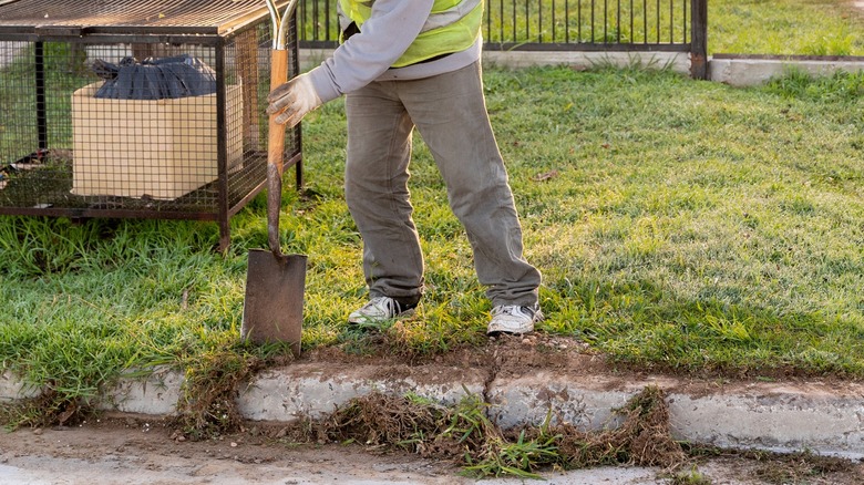 Person edging a lawn with a spade.