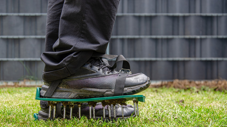 A person aerating a lawn with a strap-on spiked aerator shoes