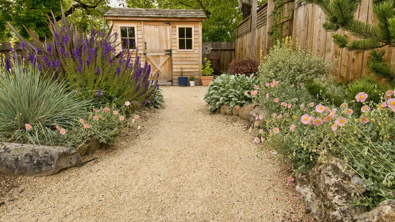 Crusher fines path leading to a garden shed