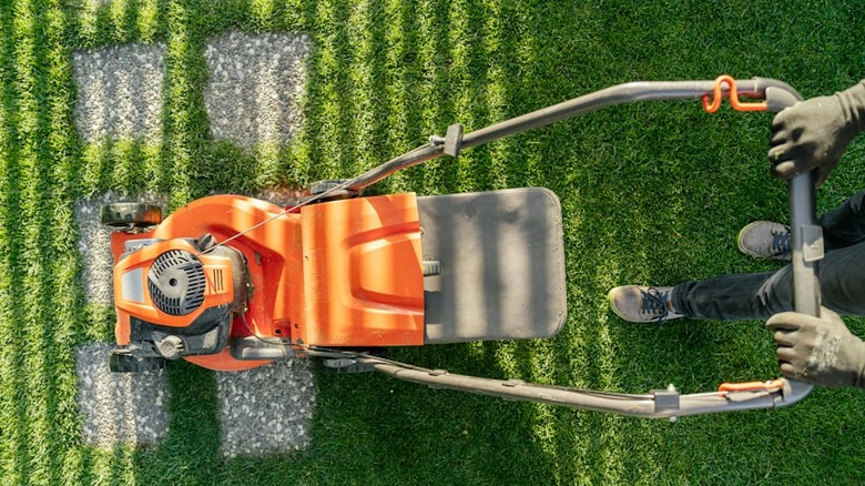 overhead image of person mowing grass with orange lawn mower