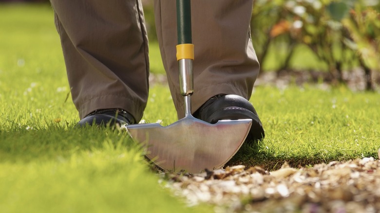 Person pushing a laen edger into the ground by foot