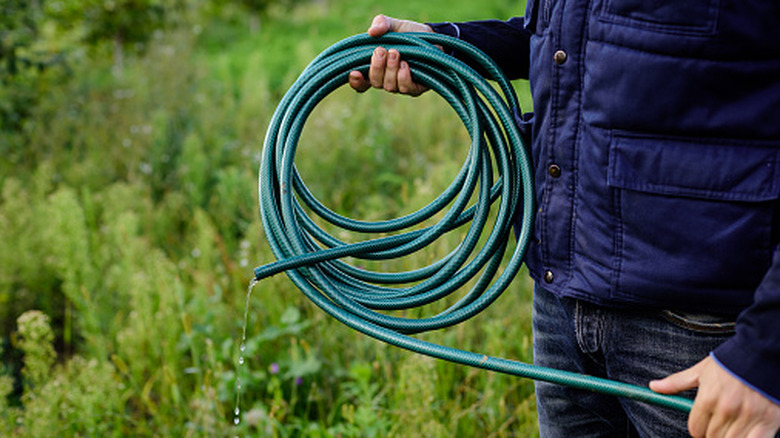 man rolling up a garden hose