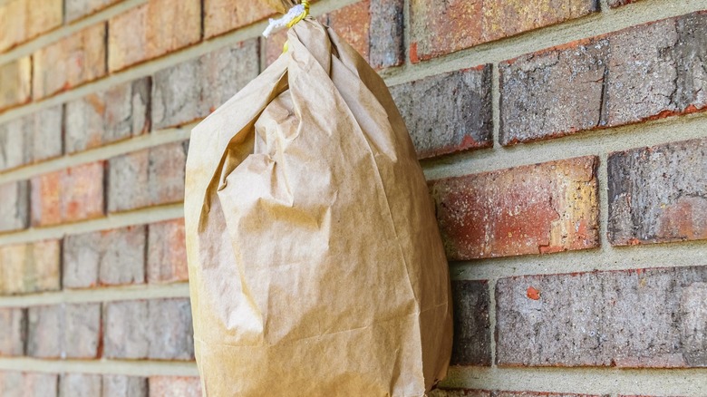 Fake paper bag wasp nest hanging next to a brick wall