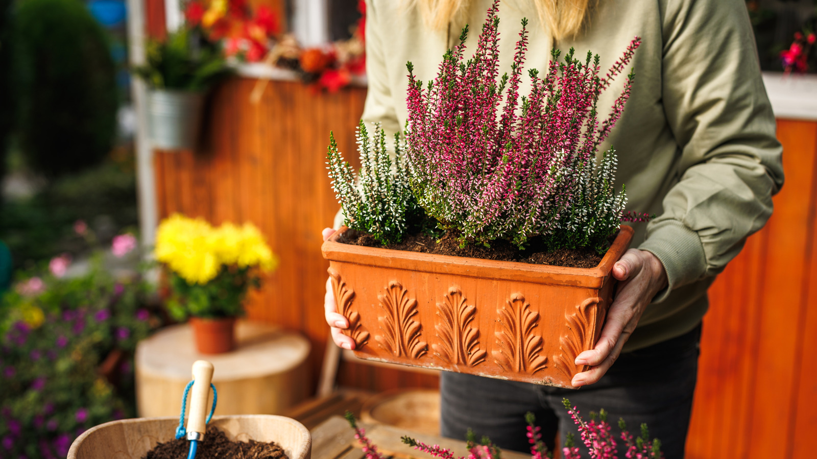 Skip This Garden Cleanup Step If You Want To Attract Birds In The Fall