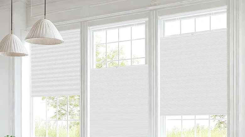 Shades on windows opening from the top, bottom, and both